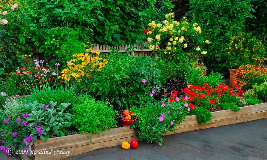 organic, vegetables, edible landscaping, Oak Park, front yard, Bass,