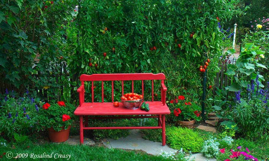 organic, vegetables, edible landscaping, Oak Park, front yard, Bass,