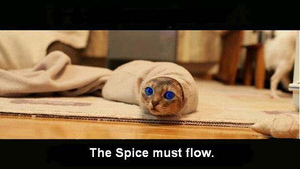 the spice must flow        <h3 class=