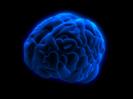 Blue_brain_2