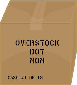 Overstock_1