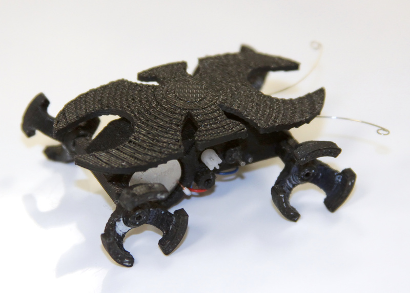 Protoantimg_7005_3