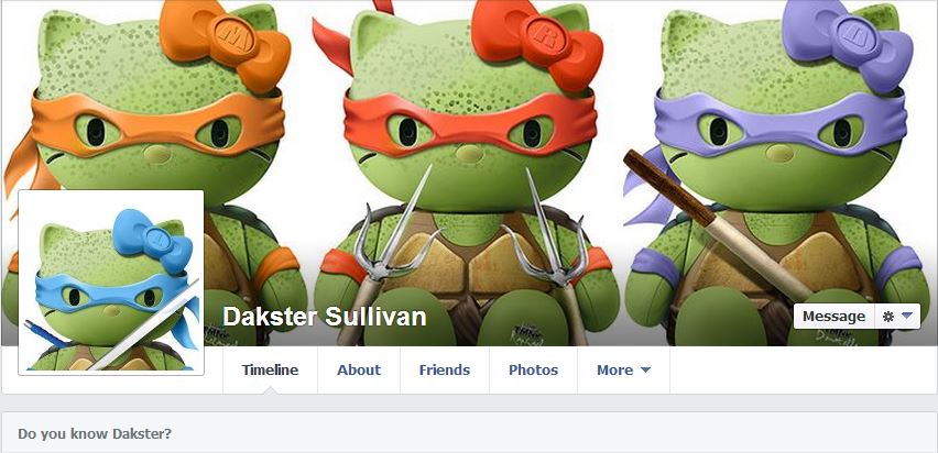 I love TMNT. Can you tell?  Image: Dakster Sullivan