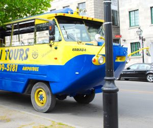 Montreal amphibus