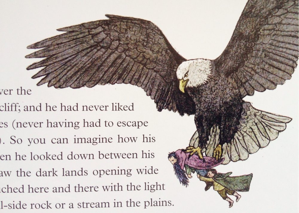 Detail from Jemima Catlin's new edition of 