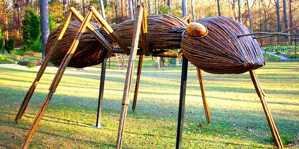 Giant Ant