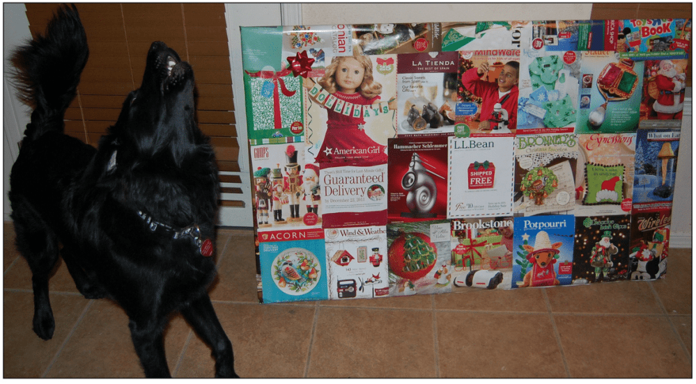 Even Sirius Black approves of the wrapping job with repurposed catalog covers. All images by Lisa Kay Tate