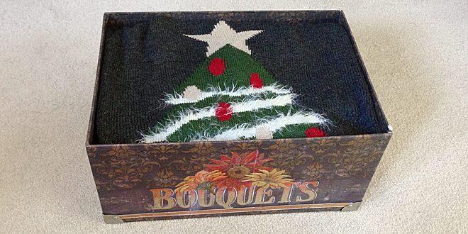 Is it time to pack away the Christmas sweater? © Sophie Brown