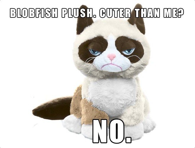Grumpy Cat Plush