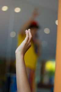 Image: https://commons.wikimedia.org/wiki/File:Henderson_Family_Day_Arm_2007.jpg, CC-BY-2.0