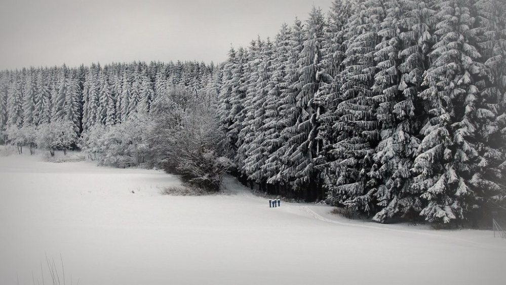 Image by Flickr user fleckchen (CC BY-ND 2.0)
