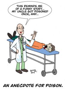 anecdote