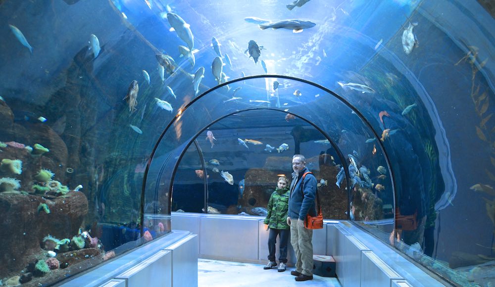 92,000 gallon tank surrounds visitors