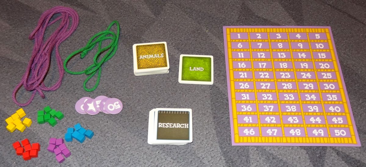 String Safari Components