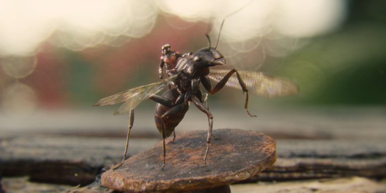 10 Things Parents Should Know About 'Ant-Man' – GeekDad