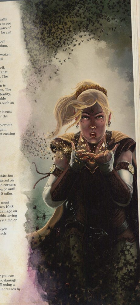 Image: Player's Handbook