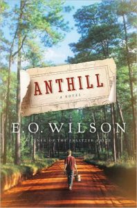 Anthill