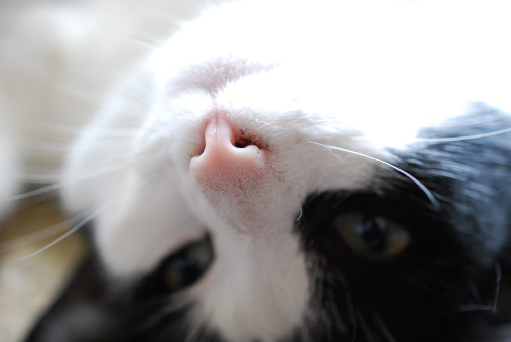 How does this not brighten your day? Photo: Jenny Bristol