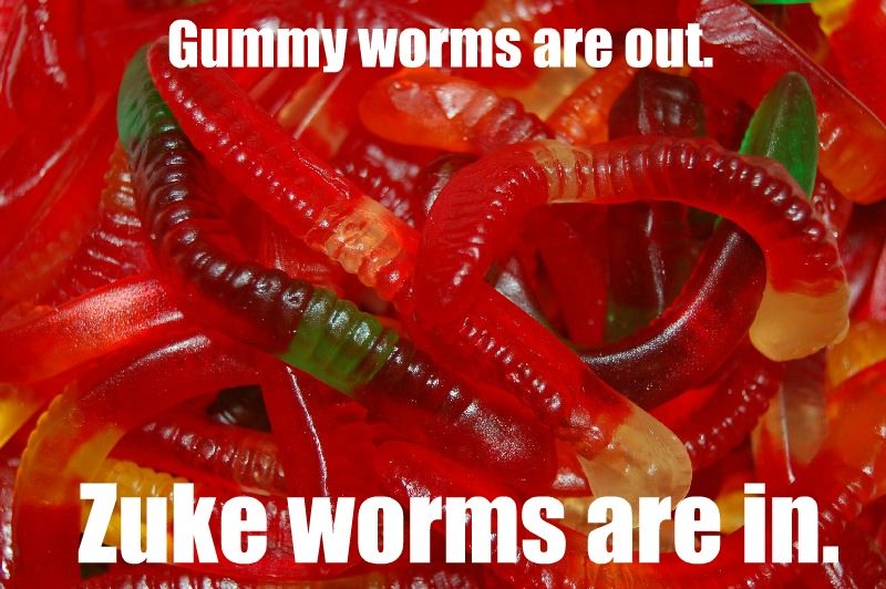 We're not kidding. Zucchini worms are not only healthy, they taste awesome.