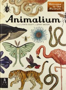 animalium