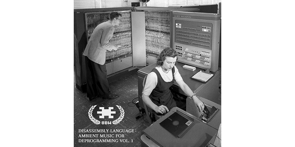 Disassembly Language