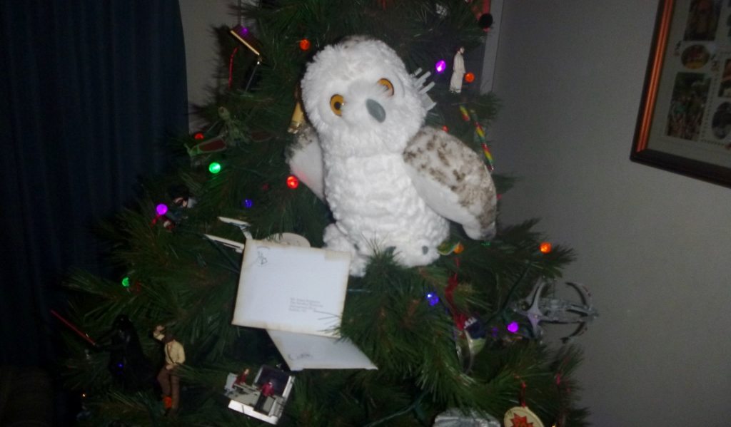 Owl Wizarding World Hogwarts trip reveal