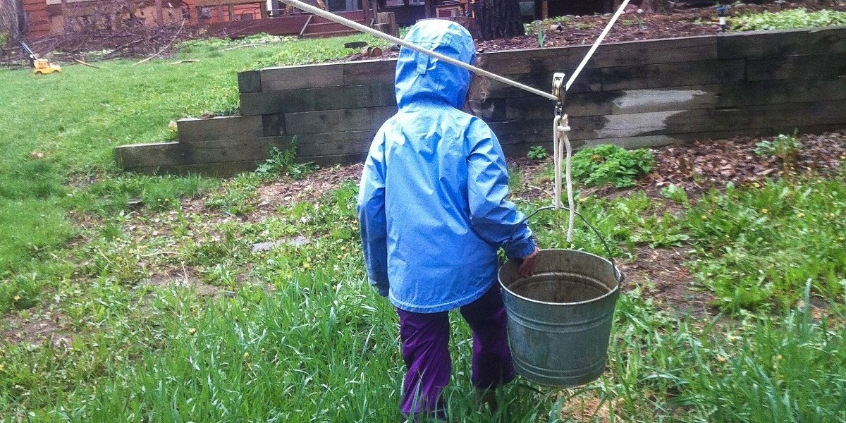 Backyard Play Revolution