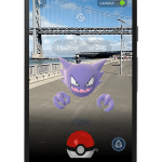 Pokemon Go encounter 2