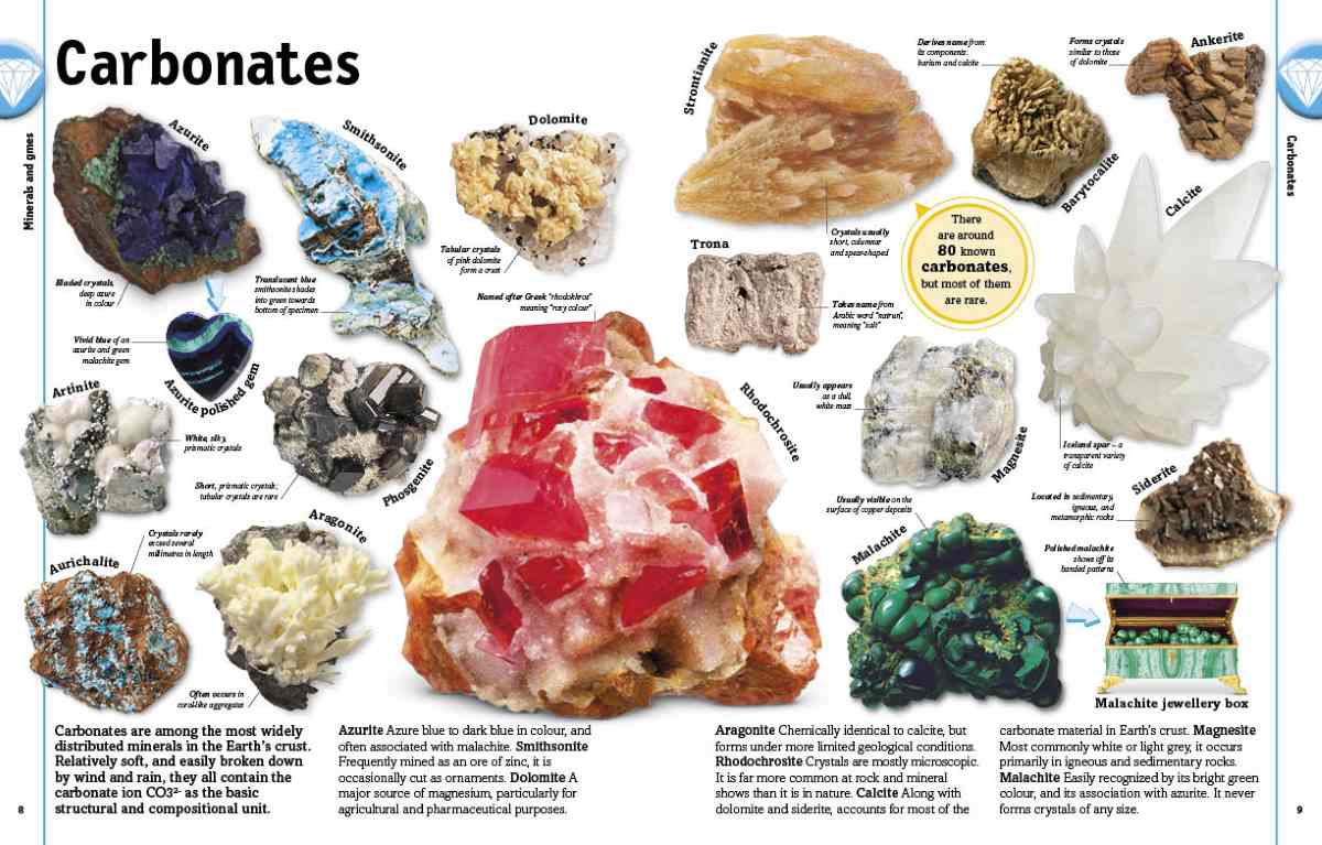 Carbonates