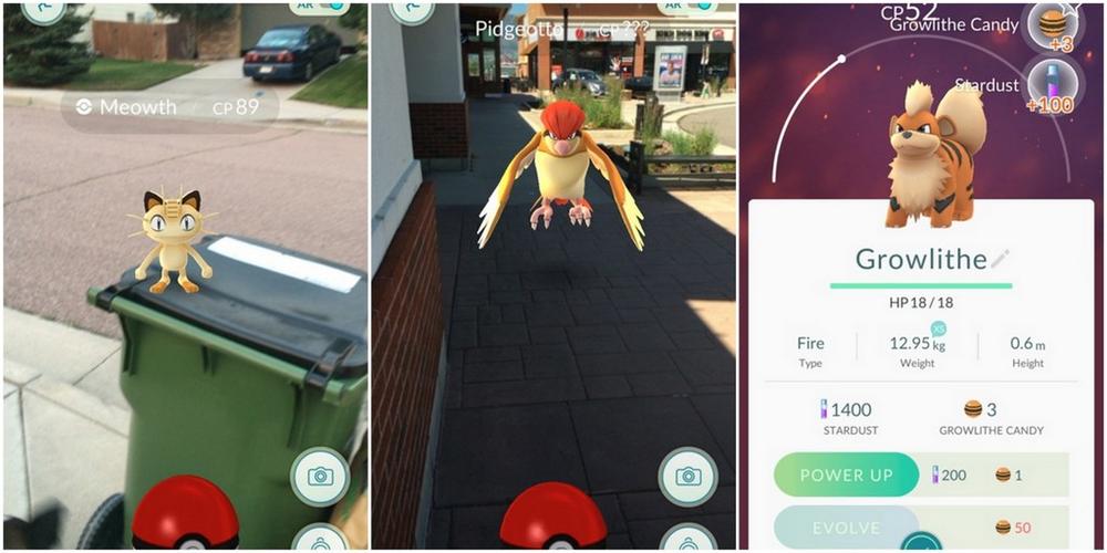 Photos courtesy of Patricia Vollmer, used with permission. 