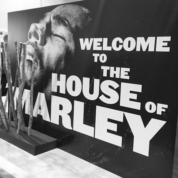 b376eeda-d415-4e06-9f68-1a905356c5c3