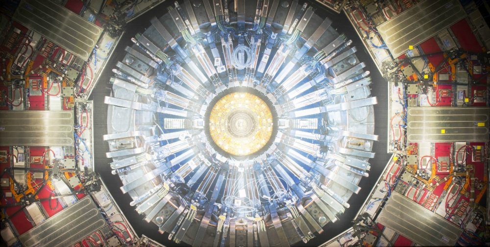 Collider Exhibit at MAAS
