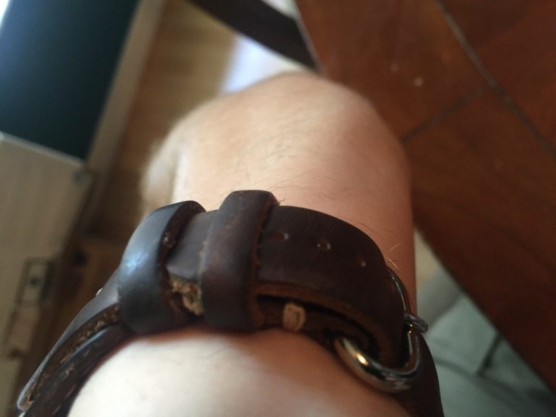 Just enough excess band for the 2nd free loop (Photo by Skip Owens)