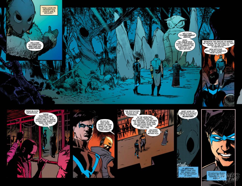 Raptor and Nightwing: Teammates? image copyright DC Comics