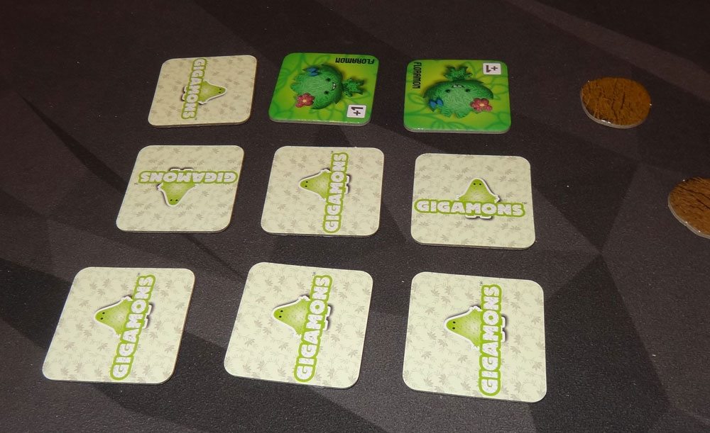 Gigamons match