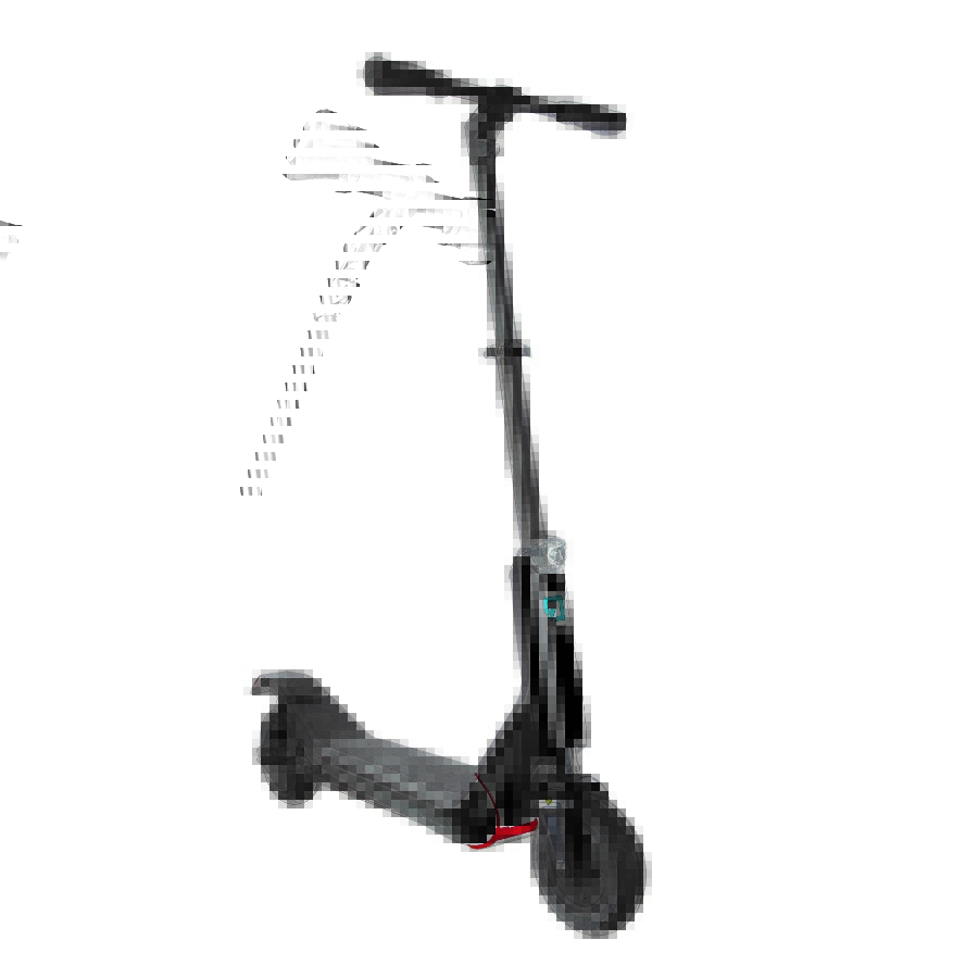 brookstone_city-bug2