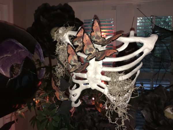 Hanging basket of ribs -- with butterflies and moss. Now this is a plant I can keep alive!