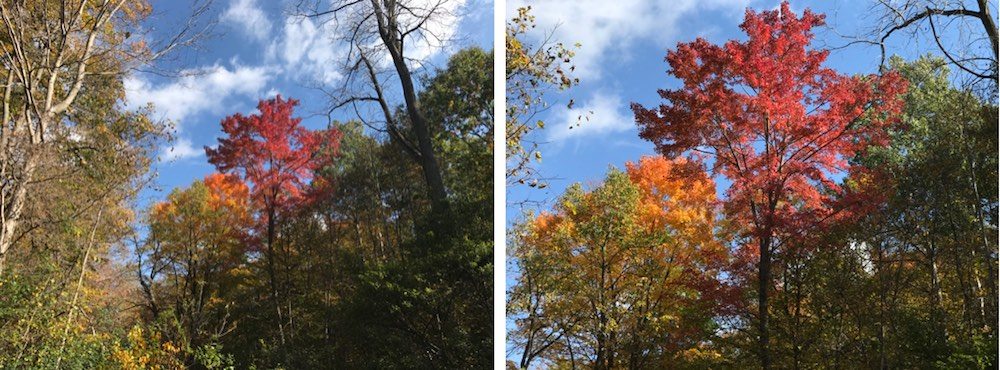 iPhone 7 Plus zoom camera