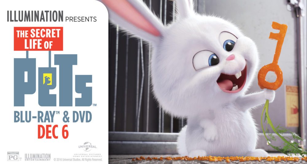 pets-promoimage3