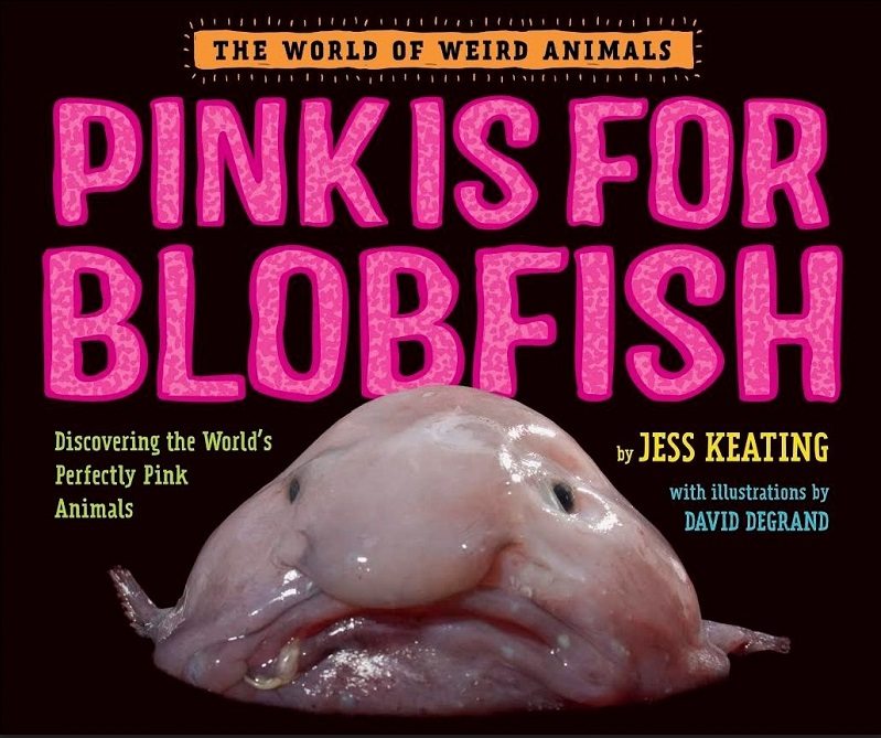 pink-is-for-blobfish Knopf Books