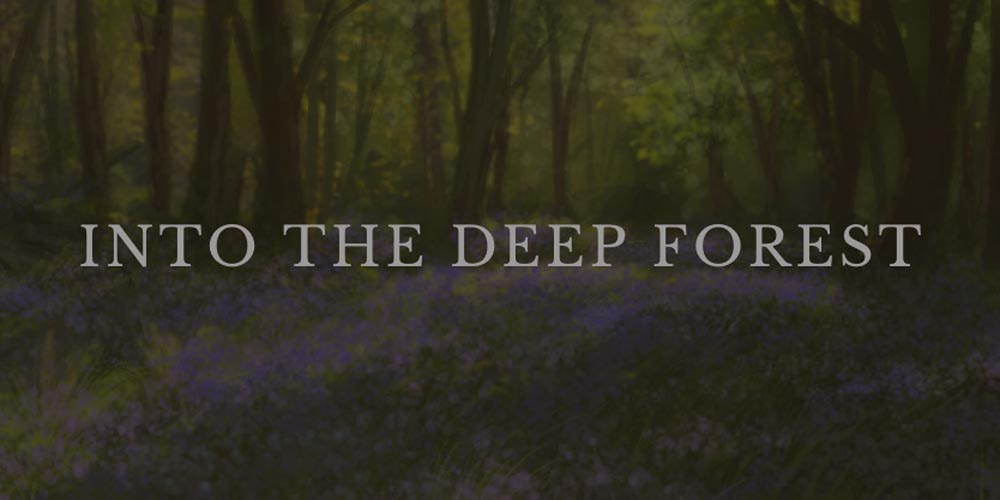 Nocked! True Tales of Robin Hood