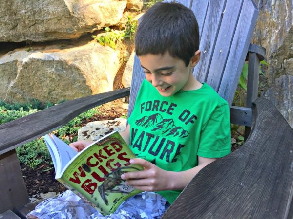 A Creepy-Crawly 'Wicked Bugs' Summer Book Club for Families | Caitlin Fitzpatrick Curley, GeekMom