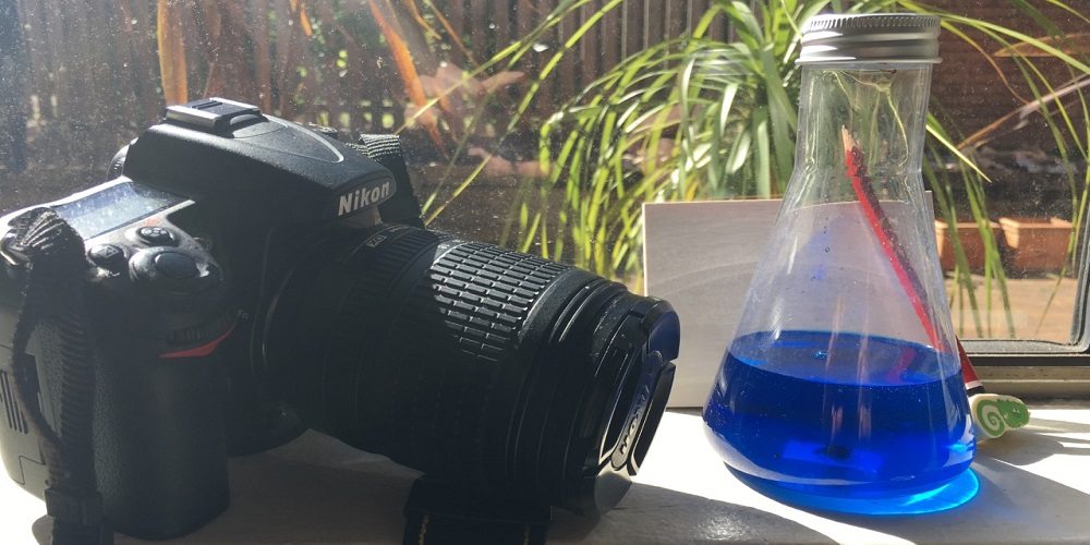 social media experiment for scientists