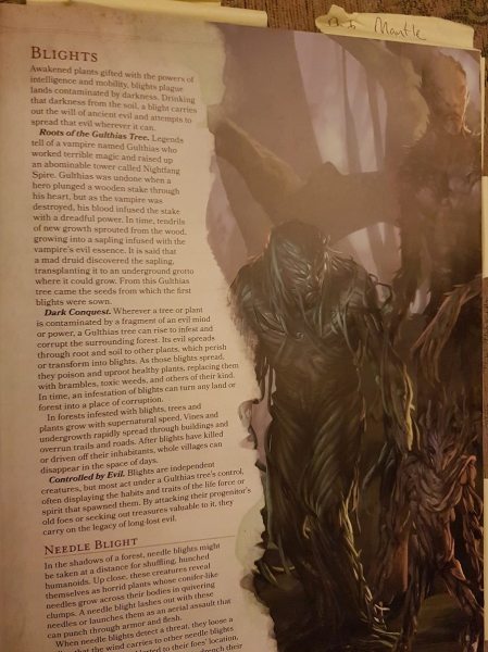 D&D strahd Wizards of Wines