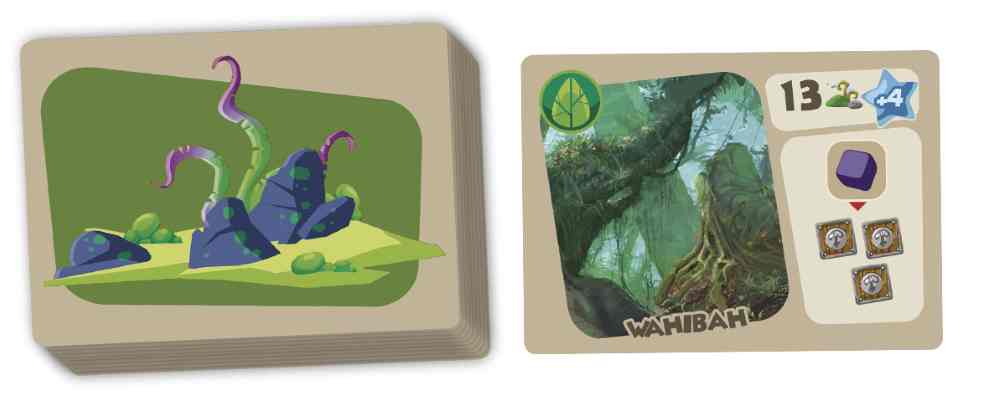 Sample Land Card