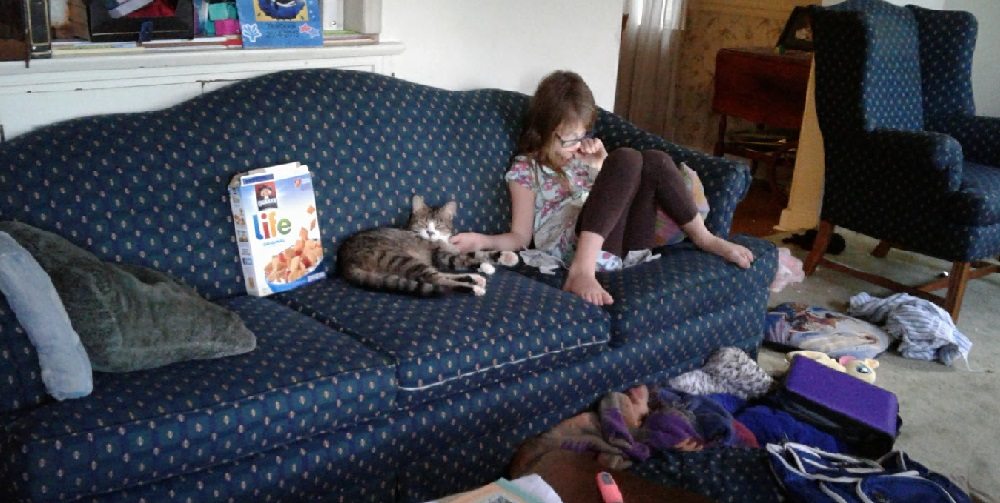 Grey tabby beside 8yo girl on a couch in a messy living room