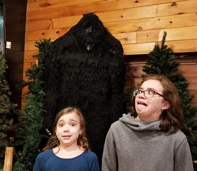 Sasquatch from Expedition: Bigfoot!