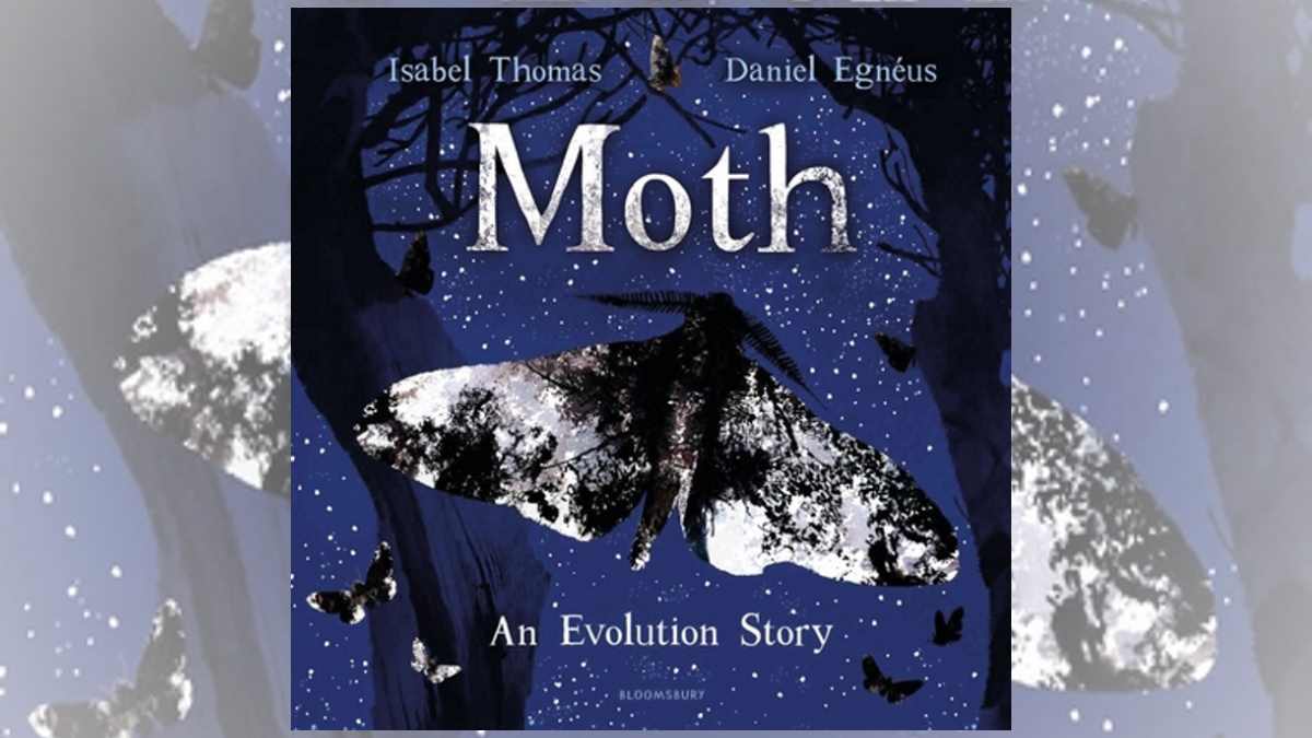 Moth Evolution Story