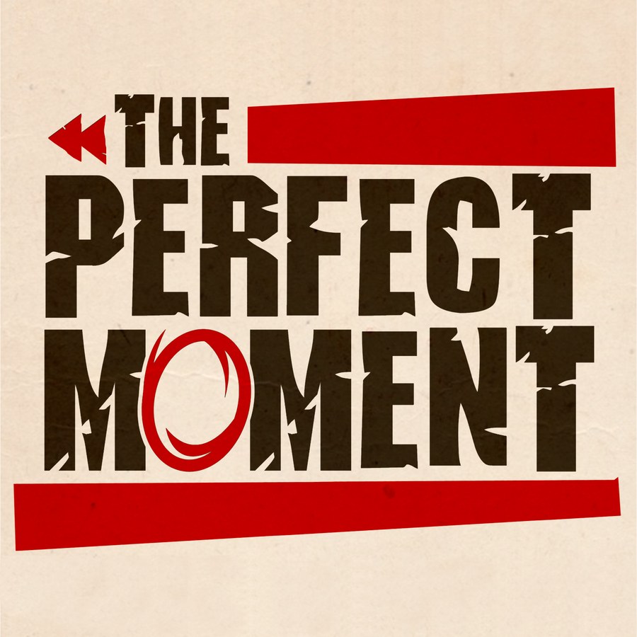 The Perfect Moment cover