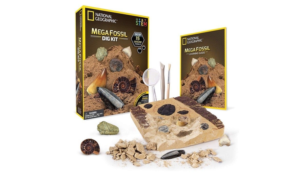Geek Daily Deals 090719 fossil kit